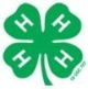 Rutherford County 4‑H logo with green clover and white H letters